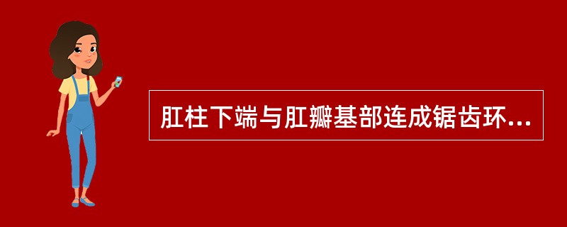 肛柱下端与肛瓣基部连成锯齿环行线，环绕肛管内面，叫（）。