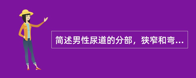 简述男性尿道的分部，狭窄和弯曲？