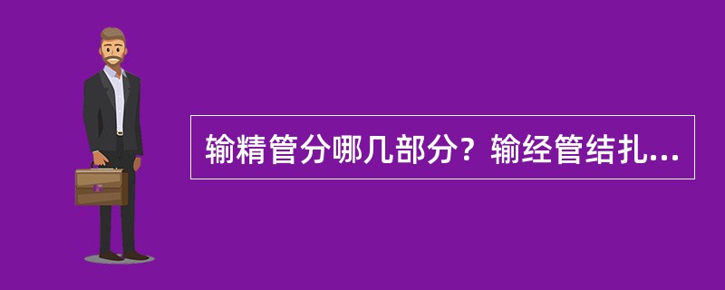 输精管分哪几部分？输经管结扎手术常在何部进行？