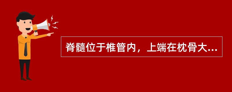 脊髓位于椎管内，上端在枕骨大孔处与延髓相续，成人脊髓下端（）。