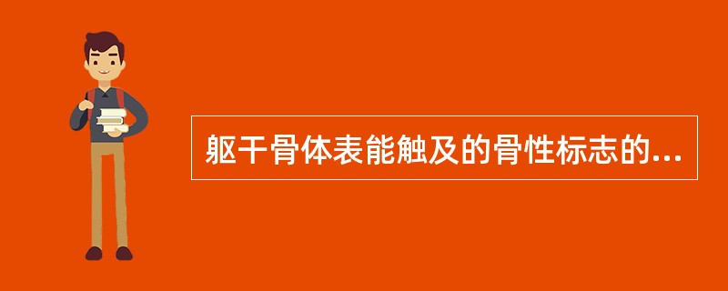 躯干骨体表能触及的骨性标志的名称。