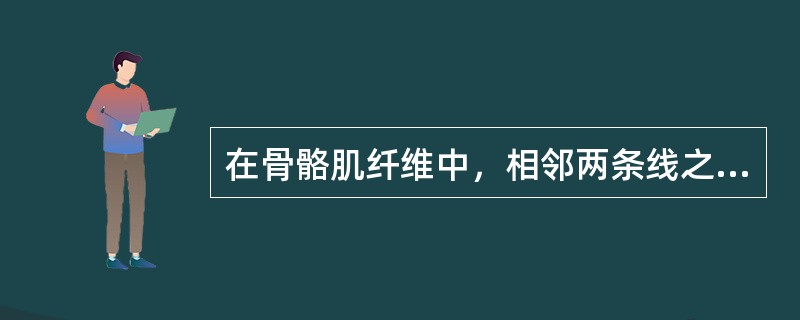 在骨骼肌纤维中，相邻两条线之间的一段肌原纤维称（），它是肌原纤维的结构和功能单位