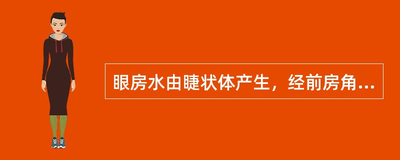 眼房水由睫状体产生，经前房角回流入（）。