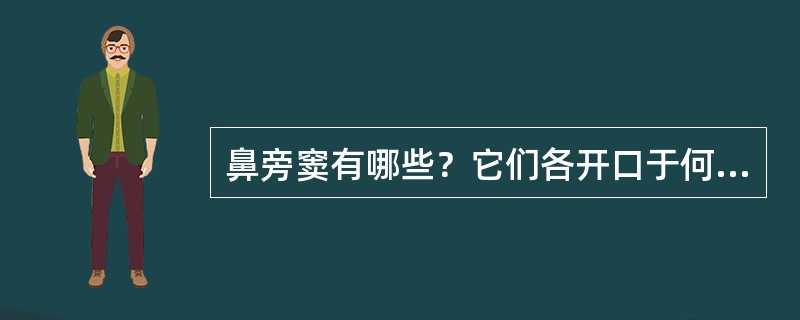 鼻旁窦有哪些？它们各开口于何处？