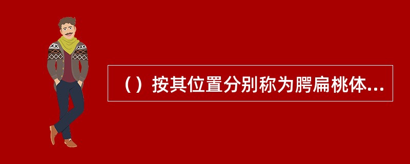 （）按其位置分别称为腭扁桃体、咽扁桃体和舌扁桃体。