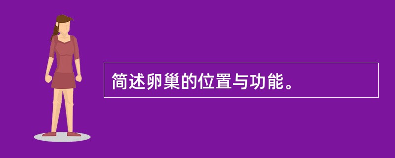 简述卵巢的位置与功能。