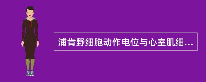 浦肯野细胞动作电位与心室肌细胞动作电位相比，最大不同之处是（）