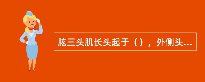 肱三头肌长头起于（），外侧头起自桡神经沟外上方的骨面，内侧头起自（）的骨面，止于