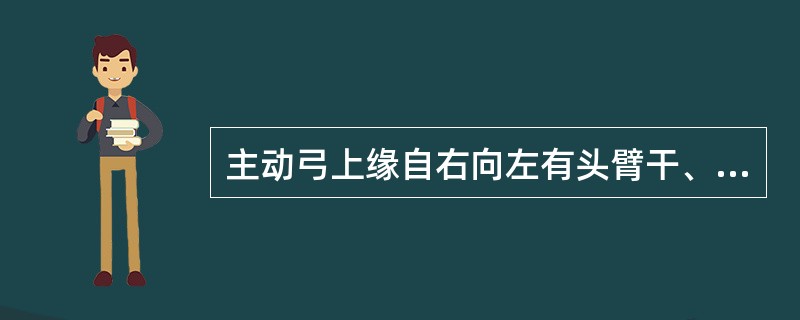 主动弓上缘自右向左有头臂干、左颈总动脉和（）三大分支。其中头臂干又分为右颈总动脉