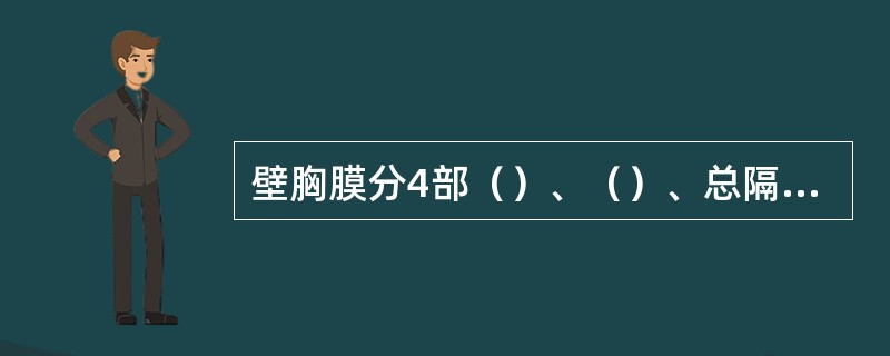 壁胸膜分4部（）、（）、总隔胸膜、胸膜顶。
