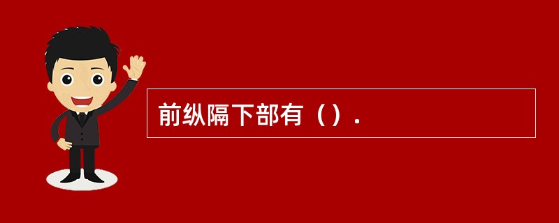 前纵隔下部有（）.