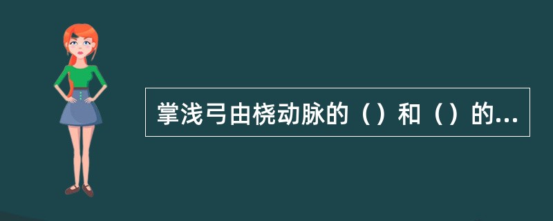掌浅弓由桡动脉的（）和（）的末端吻合而成。