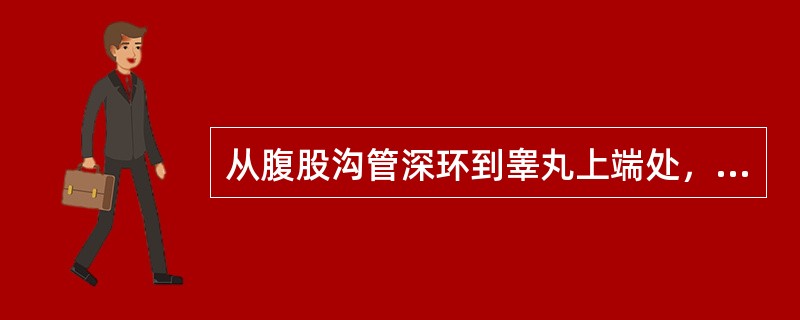 从腹股沟管深环到睾丸上端处，有一柔软的圆索状结构，称（）。由（）、（）、蔓状静脉