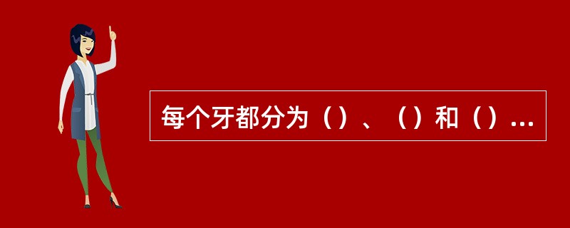 每个牙都分为（）、（）和（）三部分。