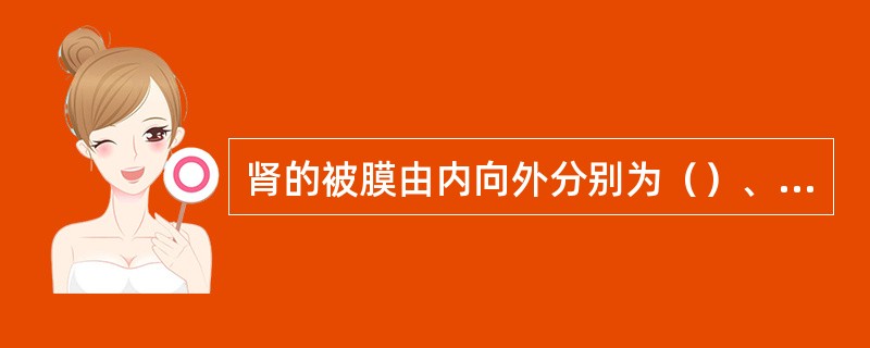 肾的被膜由内向外分别为（）、（）和（）.