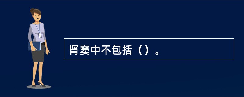 肾窦中不包括（）。