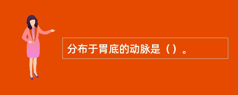分布于胃底的动脉是（）。