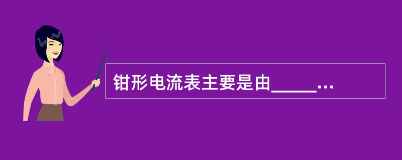 钳形电流表主要是由_________和_________组成。