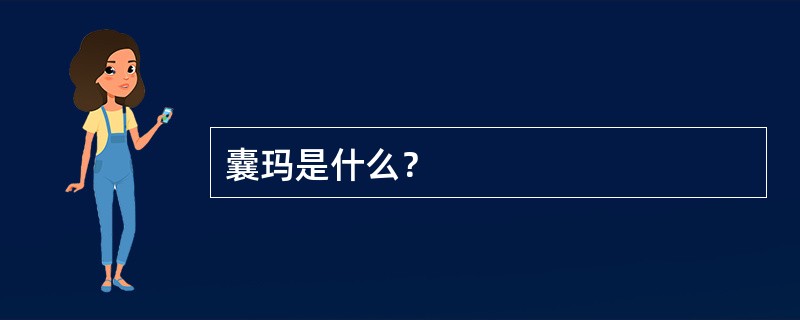 囊玛是什么？