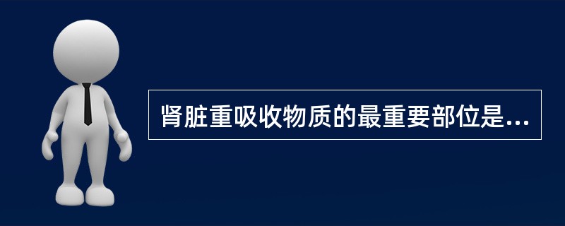 肾脏重吸收物质的最重要部位是（）。