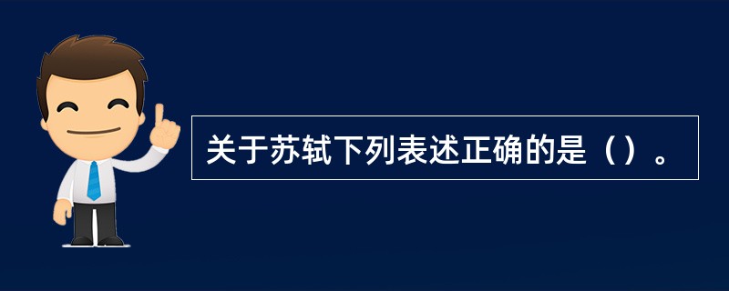 关于苏轼下列表述正确的是（）。