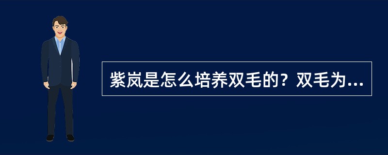 紫岚是怎么培养双毛的？双毛为什么不能成为狼王？