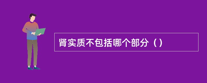 肾实质不包括哪个部分（）