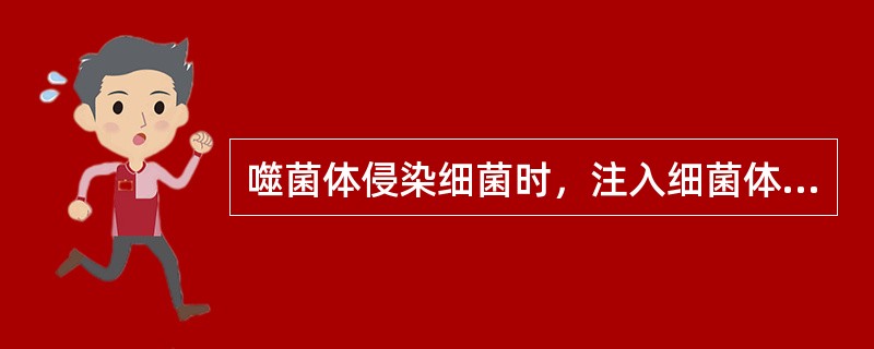 噬菌体侵染细菌时，注入细菌体内的是（）。