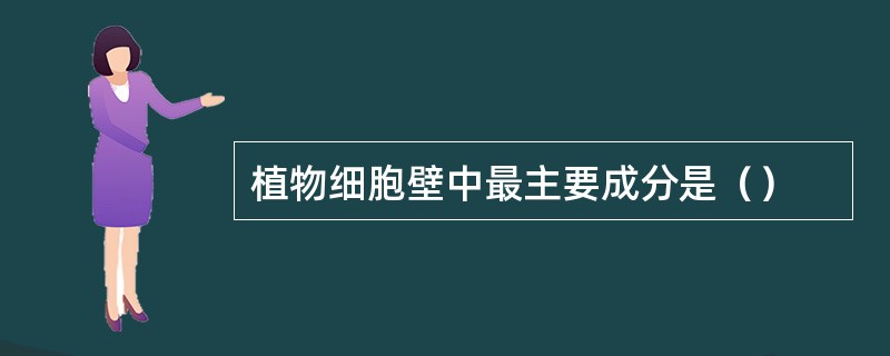 植物细胞壁中最主要成分是（）