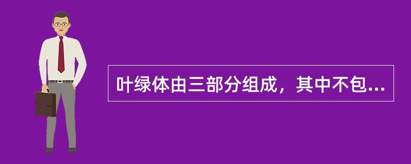 叶绿体由三部分组成，其中不包括（）。