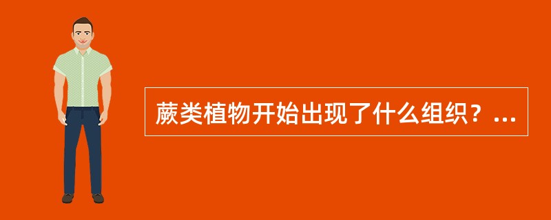 蕨类植物开始出现了什么组织？（）