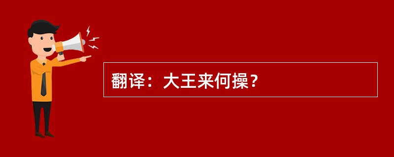 翻译：大王来何操？