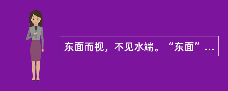 东面而视，不见水端。“东面”在句中是什么意思？