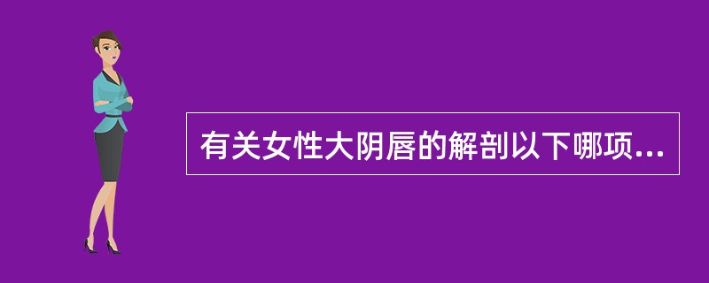 有关女性大阴唇的解剖以下哪项是错误的()