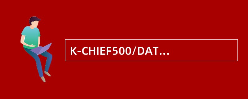 K-CHIEF500/DATACHIEF C20是一种（）。