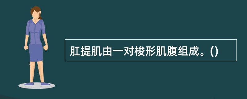 肛提肌由一对梭形肌腹组成。()