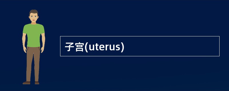 子宫(uterus)