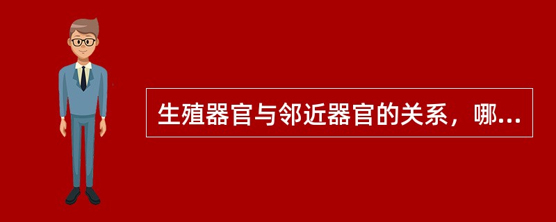 生殖器官与邻近器官的关系，哪项不恰当（）