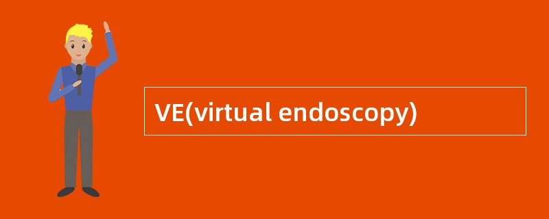 VE(virtual endoscopy)
