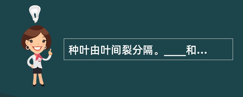 种叶由叶间裂分隔。____和____将右肺分为上、中和下三个肺叶左肺只有____