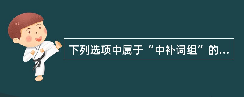 下列选项中属于“中补词组”的是（）。