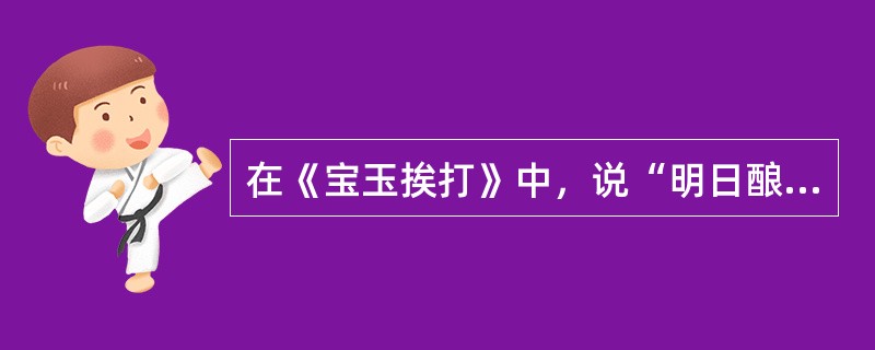 在《宝玉挨打》中，说“明日酿到他弑父弑君，你们才不劝不成”这句话的人物是（）