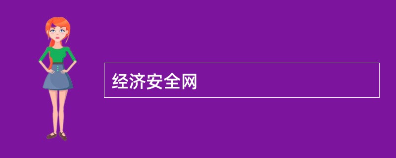 经济安全网