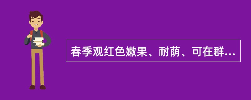 春季观红色嫩果、耐荫、可在群落中层或荫蔽处种植的常绿小乔木是（）。