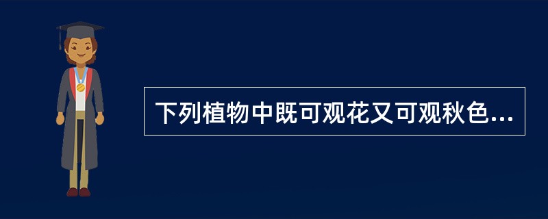 下列植物中既可观花又可观秋色叶的是（）。