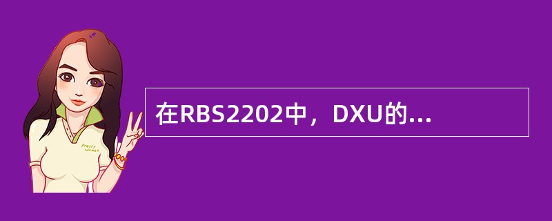在RBS2202中，DXU的CPU完成哪些功能？ECU完成哪些功能？
