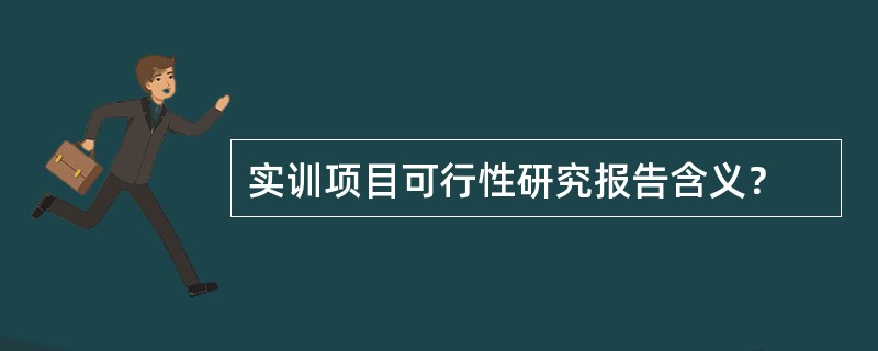 实训项目可行性研究报告含义？