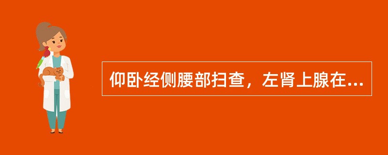 仰卧经侧腰部扫查，左肾上腺在脾、肾、腹主动脉之间查找。