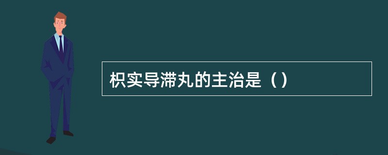 枳实导滞丸的主治是（）