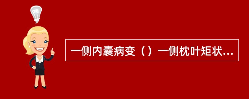 一侧内囊病变（）一侧枕叶矩状裂皮质（楔回）损害（）一侧视神经损害（）一侧颞叶损害